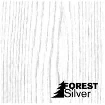 Потолочная панель ISOTEX FOREST SILVER 1800*300*12мм (8шт/уп) – фото товара